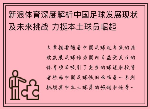 新浪体育深度解析中国足球发展现状及未来挑战 力挺本土球员崛起